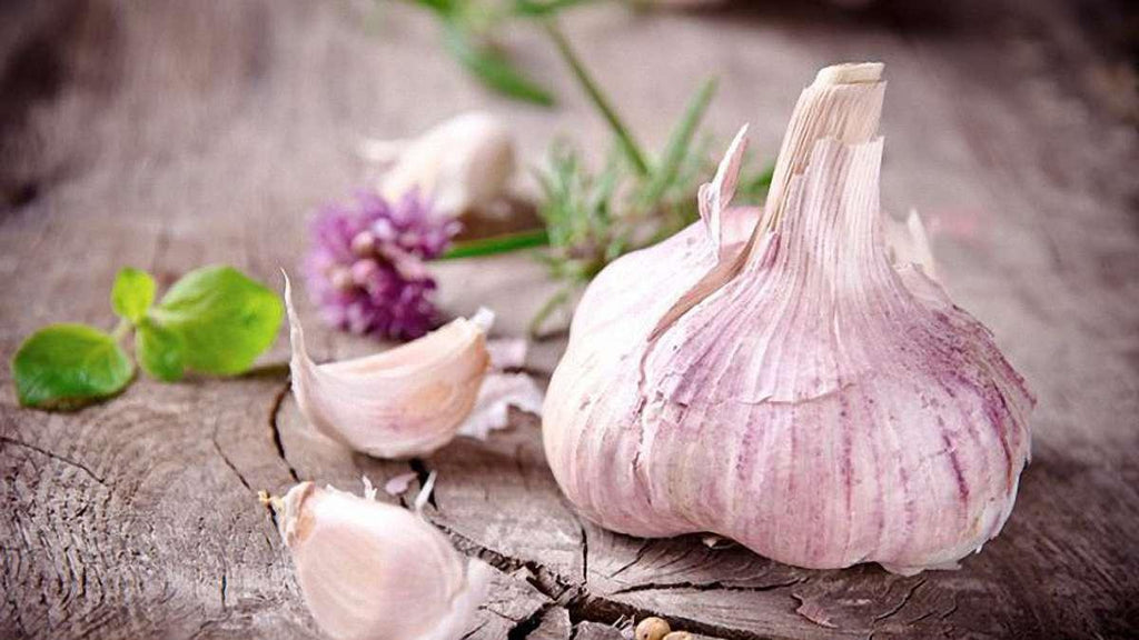 12 Amazing Health Benefits of Garlic