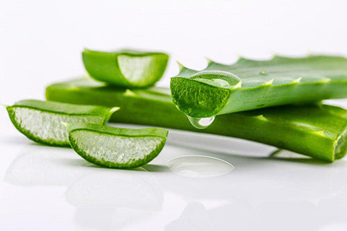 Benefits of aloe vera for hair