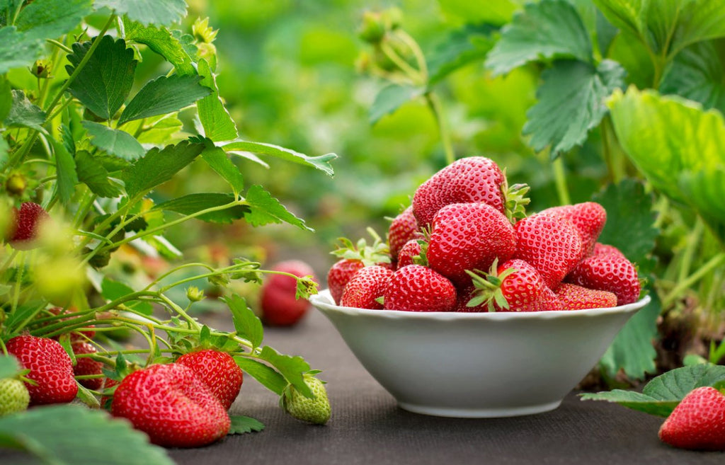 STRAWBERRY - NATURAL FOOD SERIES